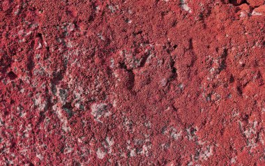 Beton levha yüzeyinde soyut yosun. Beton duvar dokusu. Eski çatlak bina arka planı