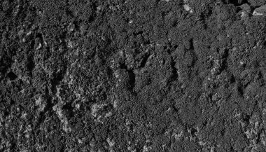 Beton levha yüzeyinde soyut yosun. Beton duvar dokusu. Eski çatlak bina arka planı