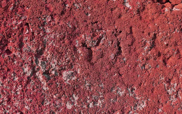 Musgo Abstrato Superfície Laje Concreto Textura Parede Cimento Idade Crack — Fotografia de Stock