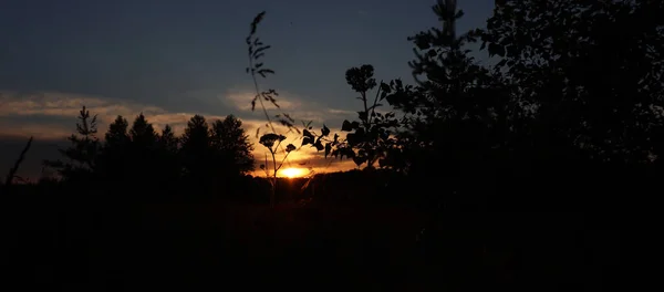 Schöne Waldnatur Hintergrund Tapete Sonnenuntergang Ländliche Landschaft — Stockfoto