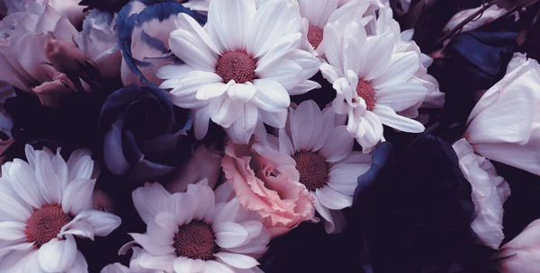 Bahçeli doğa arka planı. Çiçekler buketin içinde güzel çiçekler