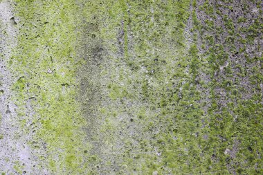 Soyut beton duvar dokusu. Eski, kirli beton levha. Güzel eski arkaplan