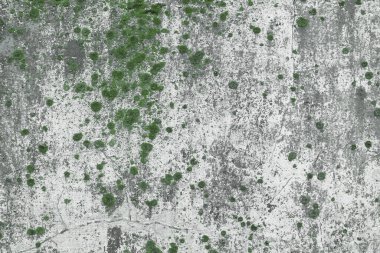 Soyut beton duvar dokusu. Eski çatlak beton kaplama arka plan