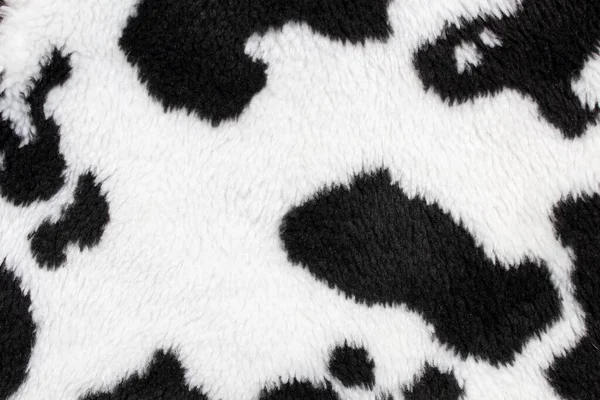 Siyah benekli beyaz inek derisi.