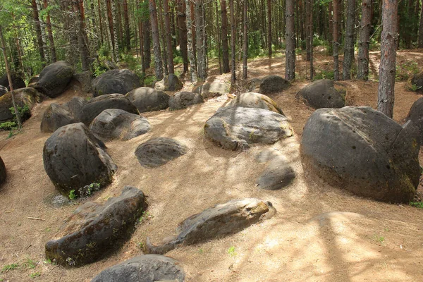 Kirov, Ryssland, 08.01.2021 Närbild gamla Zhukovlyansky stenblock i skogen — Stockfoto