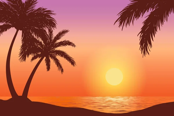 Векторный Закат Тропическом Пляже Иллюстрация Природных Пейзажей Силуэтом Пальмы — стоковый вектор