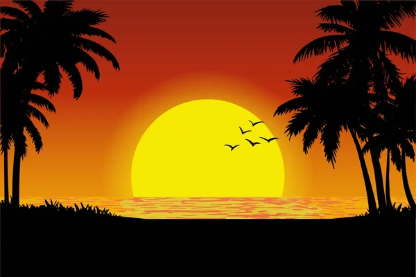 Vector Illustration Tropical Beach Sunset View — 스톡 벡터