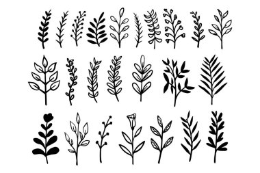 Yaprak ve dal koleksiyonu silueti el çizimi vektör illüstrasyonu