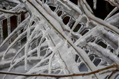 Kış havası. Buz kolyeler ve donmuş dallardan oluşan bir ızgara..