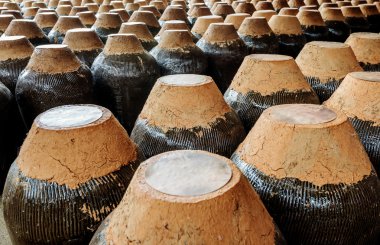 Bira yemekleri, özenle düzenlenmiş.