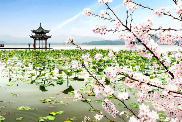 Chiny hangzhou west lake krajobraz — Zdjęcie stockowe