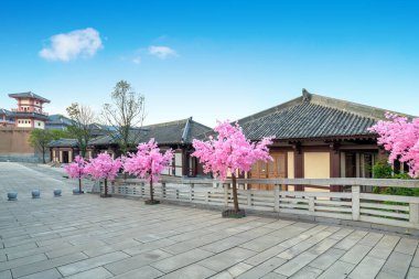 Sui ve Tang Hanedanlığı kalıntıları parkında klasik mimari, Guizhou, Çin.