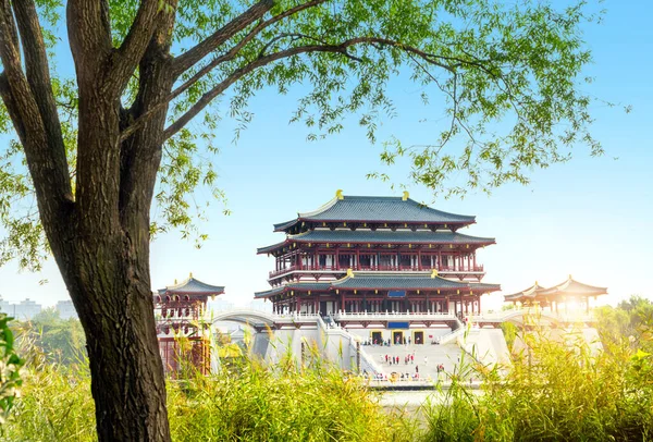 紫雲塔は西暦727年に建てられ 中国西安市大唐古園の本館です — ストック写真