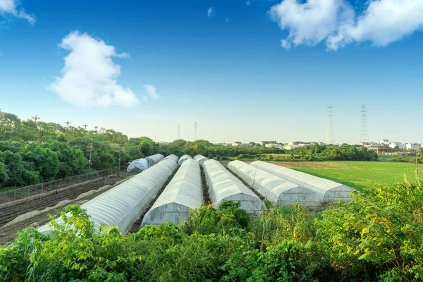 Vegetable Greenhouses Rural Scenery China — Stock Photo, Image