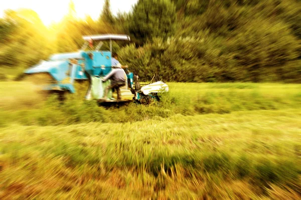 Work rice harvester — Stock Photo, Image