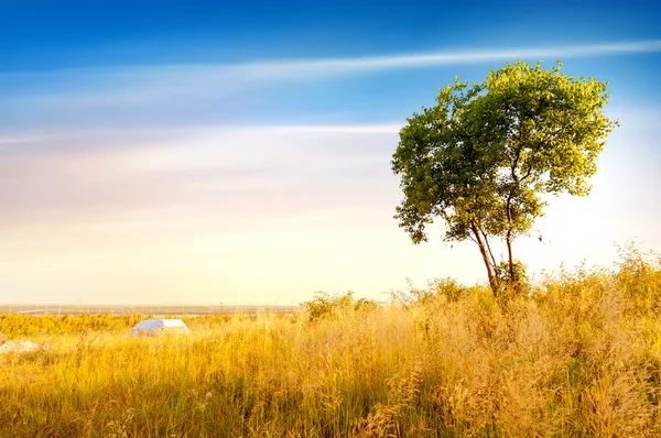 Skymning prairie — Stockfoto