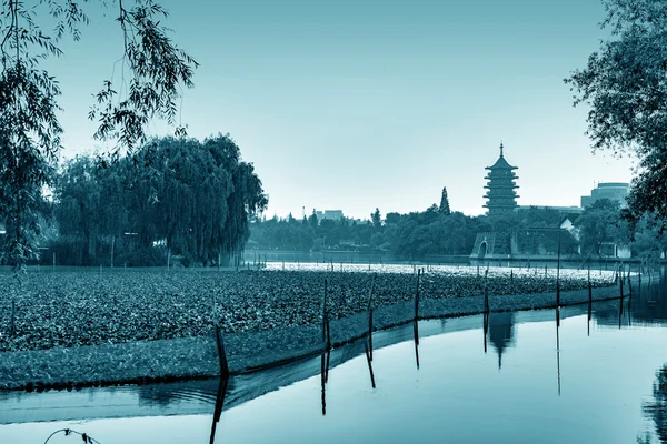 Göl ve pagoda — Stok fotoğraf