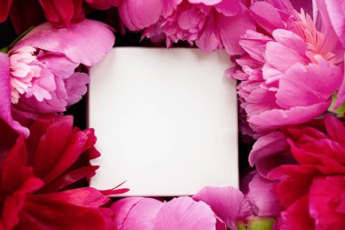 Güzel bir siyah çimento arka planında pembe ve kırmızı şakayıklardan oluşan küçük beyaz bir kutu. Romantik bir kavram. Düz katlı kartpostal.