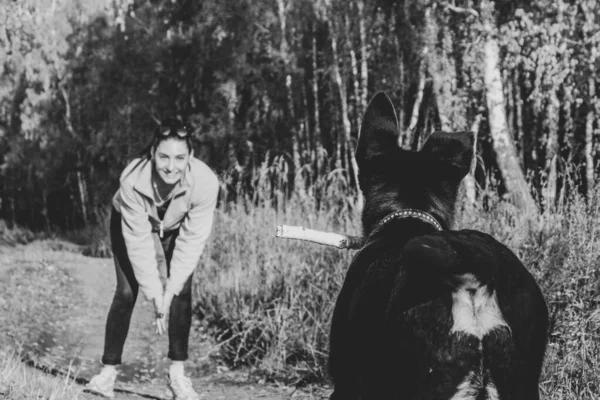 Ein Mädchen Das Mit Einem Hund Herbstlichen Wald Freien Trainiert — Stockfoto