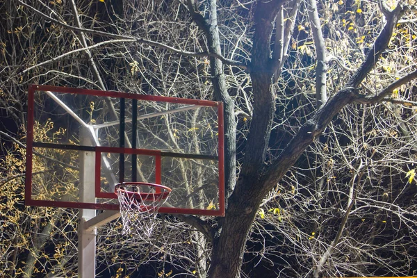 Πίσω Αυλή Μπάσκετ Στεφάνι Ένα Σκοτεινό Φόντο Των Δέντρων — Φωτογραφία Αρχείου