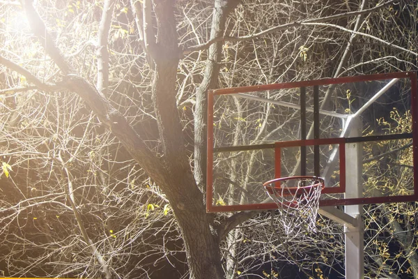 Bakgård Basket Båge Mörk Bakgrund Träd — Stockfoto