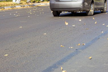 Sonbaharın başlarında bir ağaçla ilk sarı yaprak, banliyö otobanında, ön ve arka plan bokeh etkisi ile bulanıklaşır.