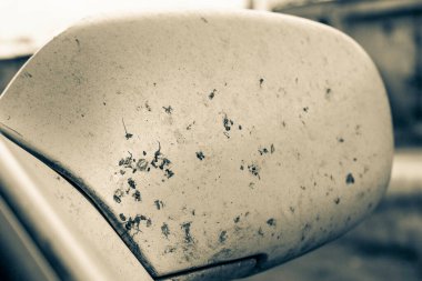 Araba tamponunda ve radyatörde ezilmiş böcek. Sivrisinekleri ve sivrisinekleri aracın önünde ezin.