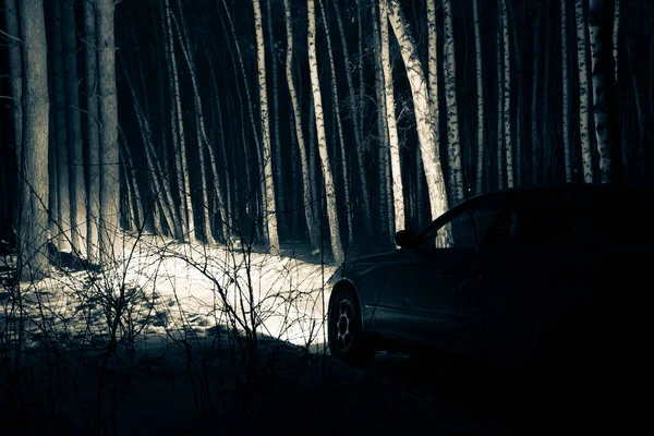 sports car with high beam on in a winter pine forest at night, front and background blurred with bokeh effect