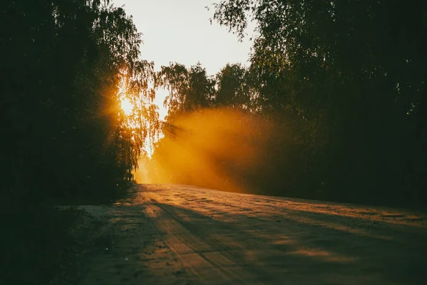 Poros Földút Egy Gyönyörű Naplemente Mögött Erdő Első Háttérben Sziluettek — Stock Fotó