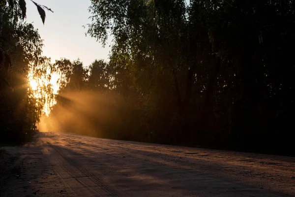 Prašná Prašná Polní Cesta Krásném Západu Slunce Lesem Vpředu Pozadí — Stock fotografie