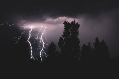 Gece gök gürültülü bir fırtınada, karanlık gökyüzüne karşı, bir yangına neden olan bir ormanda, yağmurlu bir fırtınada güzel bir yıldırım.