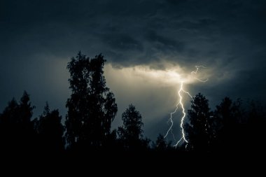 Gece gök gürültülü bir fırtınada, karanlık gökyüzüne karşı, bir yangına neden olan bir ormanda, yağmurlu bir fırtınada güzel bir yıldırım.