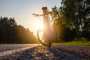 Güneşli yolda bisiklet gidonu. Boş otoyolda bisiklet sürmek. Bisiklet gidonu. Yüksek kalite fotoğraf