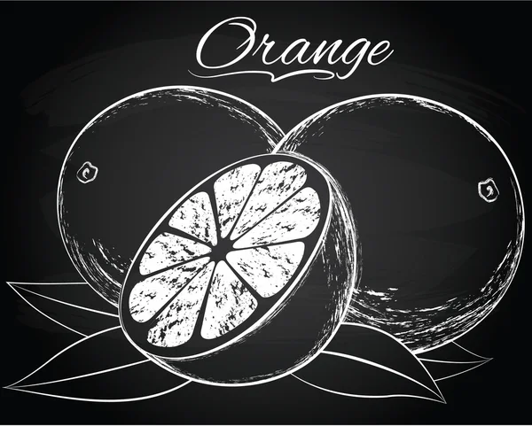 Vektor reife Orange — Stockvektor