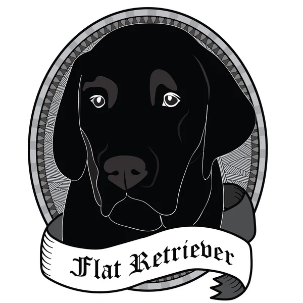 Flat Retriever Porträt. isolierte Vektor Hund Illustration — Stockvektor