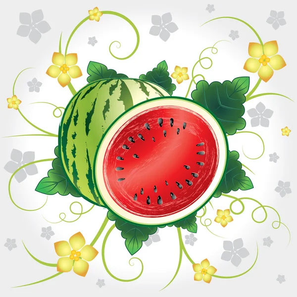 Watermeloen hele en segmenten — Stockvector