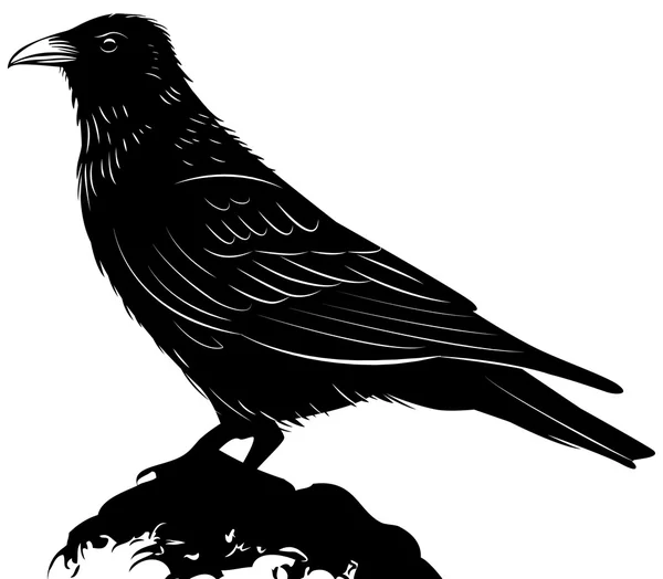 Cuervo vector negro sobre fondo blanco — Archivo Imágenes Vectoriales
