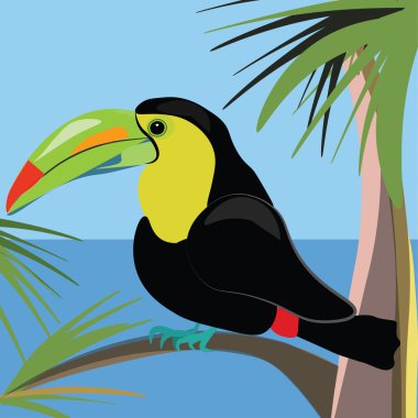 Beautiful toucan bird sitting on a palm tree
