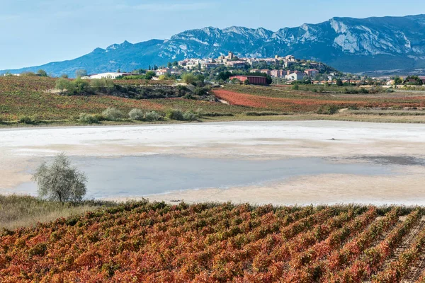 ラガルディアの町を背景にした秋のブドウ畑とカラログラノ湖 リオハ アラベサ スペイン — ストック写真