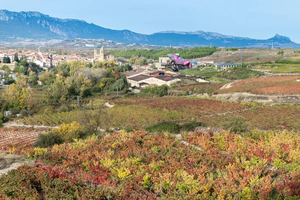 Weinberge Und Stadt Elciego Baskenland Spanien — Stockfoto