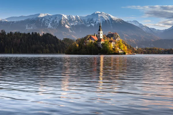 Slovenya Bled Gölü Nde Meryem Varsayımı Kilisesi — Stok fotoğraf