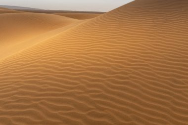 Sahra Çölü 'ndeki kum tepeleri, Tagounite, Fas