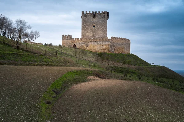 西班牙Valladolid省Tiedra城堡 — 图库照片