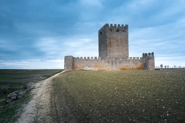 Tiedra Kalesi Valladolid Ili Spanya — Stok fotoğraf