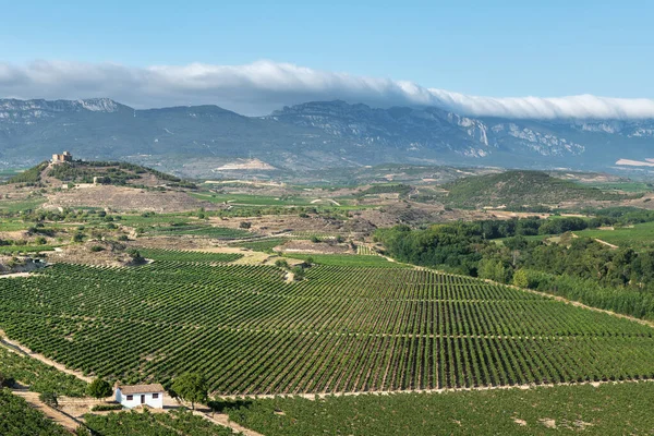 Davalillo城を背景にしたブドウ畑 Rioja スペイン — ストック写真