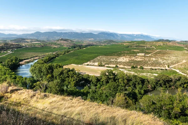 Meander Van Ebro Rivier Bij San Asensio Rioja Spanje — Stockfoto