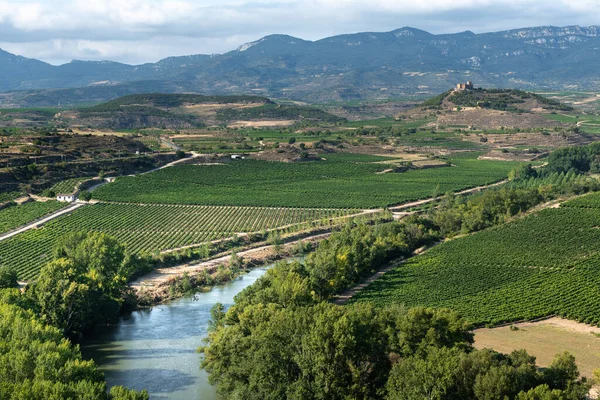 Río Ebro Con Castillo Davalillo Como Fondo Rioja España — Foto de Stock