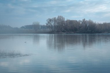 Sabah Sotos de Alfaro Doğal Rezervi, La Rioja, İspanya