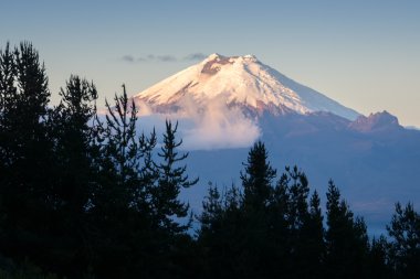 Cotopaxi volkan Ekvator, günbatımı ışığı