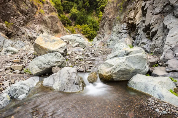 裙褂，卡尔德拉德武，La palma (西班牙的峡谷) — 图库照片